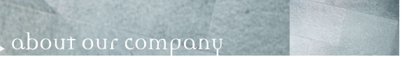 About Our Company